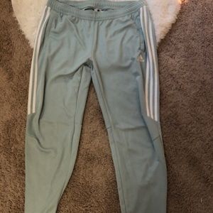 teal adidas pants